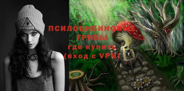 первитин Алексин